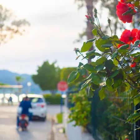 Apartment 2 Bedroom Seaside Fethiye